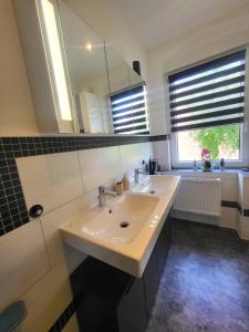een badkamer met een wastafel en een spiegel bij Ferienwohnung SehrGemütlich in Lichtenstein