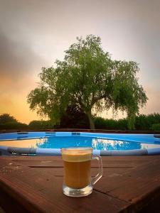 - une tasse de café assise sur une table au bord de la piscine dans l'établissement Casona cantabra con piscina a 3 km de playas. Ideal familias., à Liencres