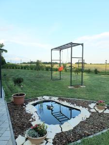 a pond in a yard with a swing at Summerside Apartman Harkány in Harkány