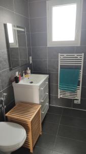 ein Badezimmer mit einem Waschbecken, einem WC und einem Spiegel in der Unterkunft Magnifique maison à 5 mns du circuit des 24h à pieds in Le Mans