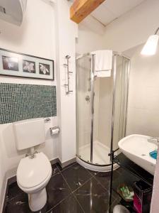 a bathroom with a shower and a toilet and a sink at Villa Guelfi in Cascina +28 photos