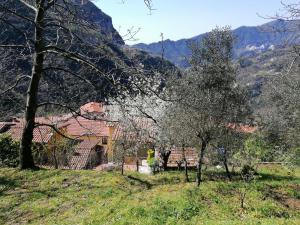 uma casa numa colina com árvores e montanhas ao fundo em Il Metato di Gallena em Stazzema