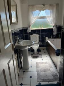Graiguenamanagh的住宿－graiguenamanagh Homestay，浴室配有盥洗盆、卫生间和浴缸。