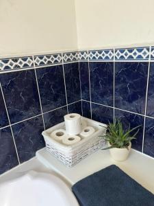 a bathroom with a toilet paper holder on a bath tub at graiguenamanagh Homestay in Graiguenamanagh
