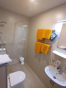 a bathroom with a shower toilet and a sink at Hotel im Klosterring in Villingen-Schwenningen