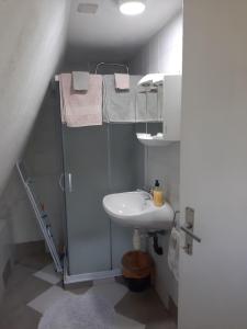 ห้องน้ำของ Holiday Home Bojko