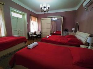 Katil atau katil-katil dalam bilik di GuestHouse LILIA &Wine Celler