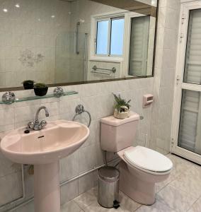 W łazience znajduje się umywalka, toaleta i lustro. w obiekcie ONAR apartment w Larnace