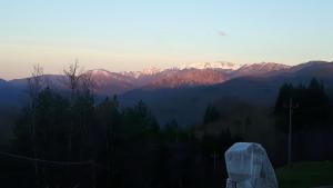 Φωτογραφία από το άλμπουμ του Alla tana del bianconiglio σε Prataccio