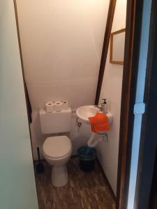 a small bathroom with a toilet and a sink at Holiday Home Bojko in Krapje