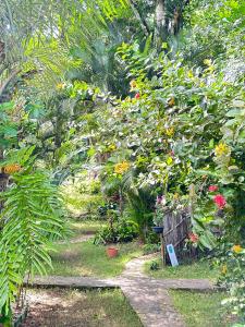 einen Garten mit vielen verschiedenen Pflanzenarten in der Unterkunft Pousada Horizonte Azul in Ilha de Boipeba