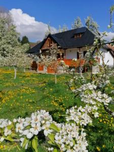 una casa con un campo de flores delante de ella en Casuta Bunicilor Corbii de Piatra, en Corbi