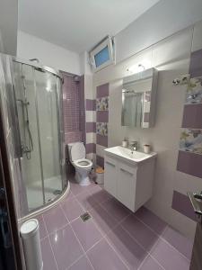 bagno con doccia, lavandino e servizi igienici di Tasos Cozy House 1 a Città di Lefkada