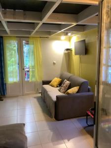 ein Wohnzimmer mit einem Sofa und einem TV in der Unterkunft L’îlet Songes in Cilaos