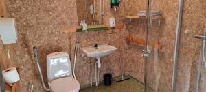 a bathroom with a toilet and a sink at Austertanakrystallen by Pure Lifestyle Arctic in Tana
