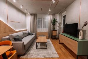 茲拉蒂博爾的住宿－ZLATIBOR HIGHLAND，带沙发和平面电视的客厅