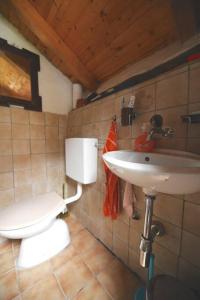 a bathroom with a toilet and a sink at Rustico al fiume Verzasca 