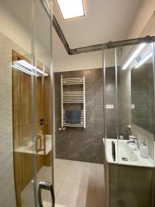 ein Bad mit einer Dusche und einem Waschbecken in der Unterkunft Cédrus Apartman in Balatonfüred