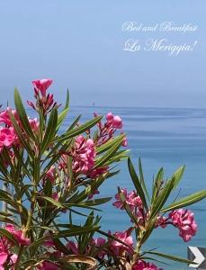een boom met roze bloemen voor de oceaan bij La Meriggia B&B in Pisciotta