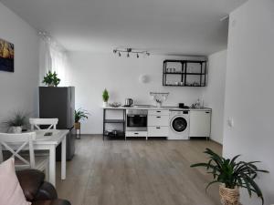 Virtuvė arba virtuvėlė apgyvendinimo įstaigoje JOREDA apartamentai