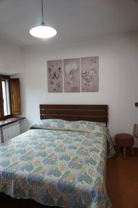 1 dormitorio con 1 cama con un edredón colorido en SAILA Monolocale VENERE, en Attigliano