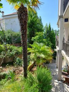 Ein Garten an der Unterkunft Apartment Dina
