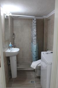 a bathroom with a sink and a toilet and a shower at AnaLev Apartment in Nea Peramos