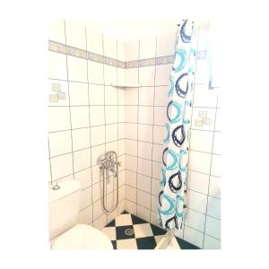 カンポスにあるParos Iliahtides Apartments near Golden Beachのバスルーム(トイレ、シャワー付)
