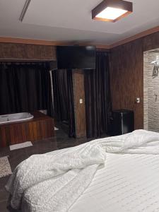 a bedroom with a large bed and a flat screen tv at Pousada Raio de Luz in Pirenópolis