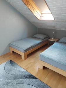a bedroom with two beds and a skylight at Haus Basilea in Wolfhalden 
