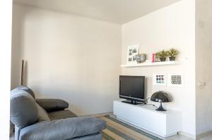 ein Wohnzimmer mit einem Sofa und einem TV in der Unterkunft Apartament Turistics Cardona in Cardona