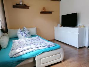 - une chambre avec un lit et une télévision sur une commode dans l'établissement Ferienwohnung Max, à Schirgiswalde