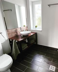 a bathroom with a sink and a toilet at Almás Tanya Vendégház in Szuha