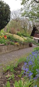 Camp paradis في Vireux-Molhain: حديقة بها زهور أرجوانية وزرقاء ومبنى