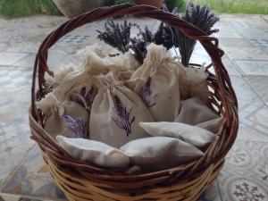 a basket filled with shells on a table at LOFT DE MONTAÑA -LaS RABONAS - PISCINA EXCLUSIVA in Las Rabonas