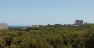 z góry widok na las drzew z wysokimi budynkami w obiekcie Campoamor Seaview w mieście Campoamor