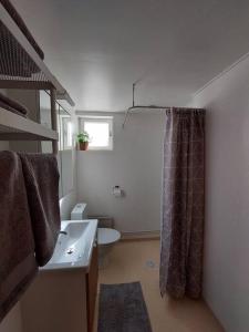 een badkamer met een wastafel en een douchegordijn bij Lönngården in Kristiinankaupunki
