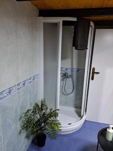 a bathroom with a shower with a plant in it at Apartamento monte dorado in Málaga +16 photos
