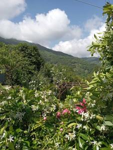 Gallery image of Beautiful Pelion Guesthouse with Spectacular Views in Anilio Pelion