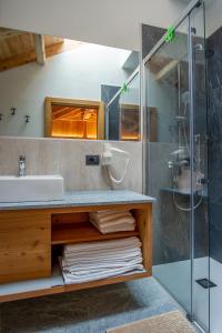 a bathroom with a sink and a glass shower at Dolomites Chalet Wolf in Molveno