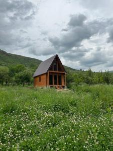 una pequeña casa de madera en un campo de hierba en Address number 8 en Yeghegnadzor