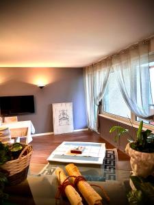 TV a/nebo společenská místnost v ubytování Lake Apartment 3