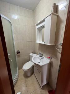 a bathroom with a toilet and a sink at Apartman Tristan in Herceg-Novi