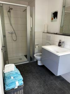 y baño con aseo, lavabo y ducha. en Alte Schmiede - XXL Foodhouse, en Kempten