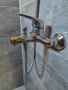 a metal shower faucet in a bathroom at Apartman HAX in Sjenica