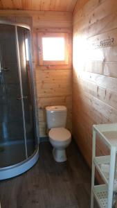 a small bathroom with a toilet and a shower at Domki u Basi in Gąski