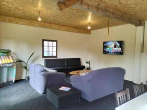 ein Wohnzimmer mit 2 Sofas und einem TV in der Unterkunft Chambre d'hôtes NATURISTE Le Jardin Des Hirondelles in Blanzaguet-Saint-Cybard