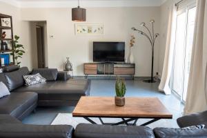 a living room with a couch and a coffee table at villa du Passeron in Chambonas