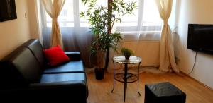 un salon avec un canapé et une table avec une plante dans l'établissement GOLDEN APARTMENTS with Lift - OLD TOWN, à Cracovie