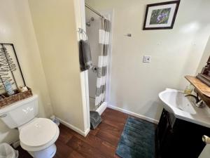 a bathroom with a toilet and a sink and a shower at Denali National Park 2 King Bedroom Hideaway with Amazing Views in Healy +8 photos